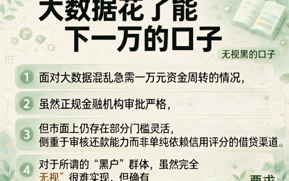 大数据花了能下一万的口子,条列五个无视黑户秒下的口子