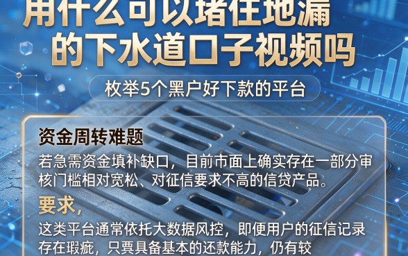 用什么可以堵住地漏的下水道口子视频吗,枚举5个黑户好下款的平台