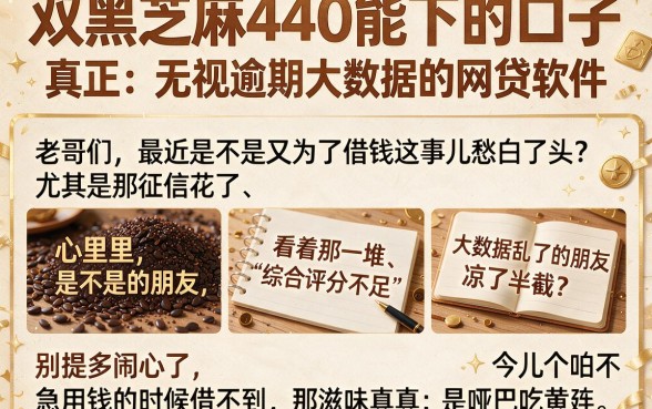 双黑芝麻440能下的口子,梳理五个真正无视逾期大数据的网贷软件