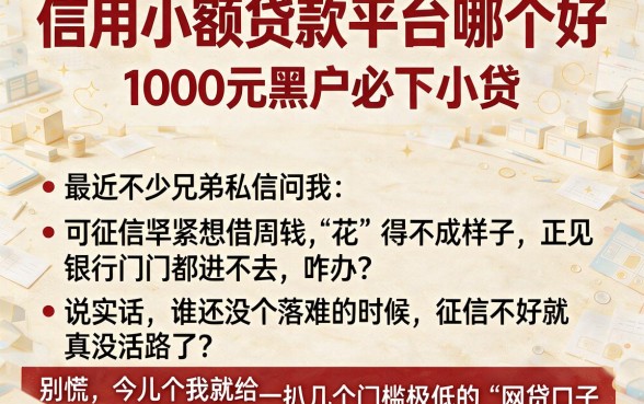信用小额贷款平台哪个好，详尽说明五个1000元黑户必下小贷