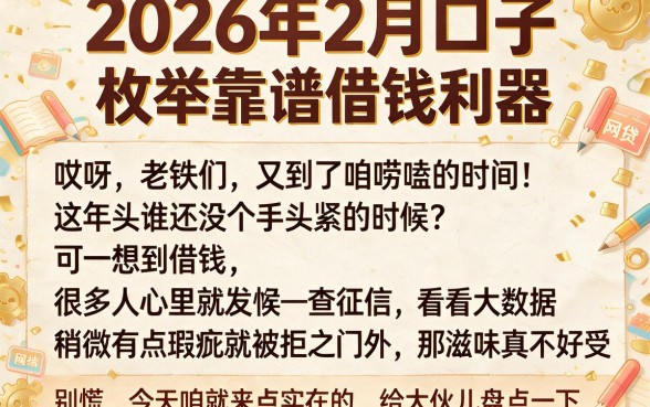 2026年2月口子，枚举五个靠谱借钱利器