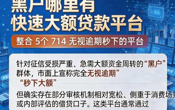 黑户哪里有快速大额贷款平台,整合5个714无视逾期秒下的平台