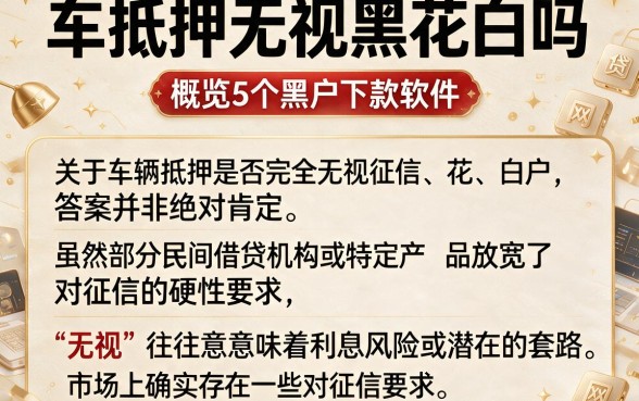 车抵押无视黑花白吗,概览5个黑户下款软件