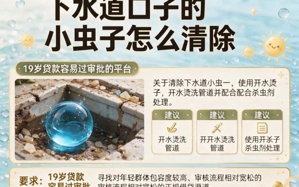 下水道口子的小虫子怎么清除,枚举五个19岁贷款容易过审批的平台