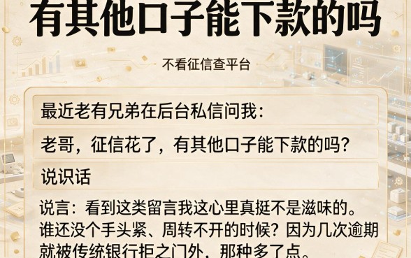 有其他口子能下款的吗，罗列五个不看征信查询的平台