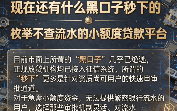 现在还有什么黑口子秒下的，枚举五个不查流水的小额度贷款平台