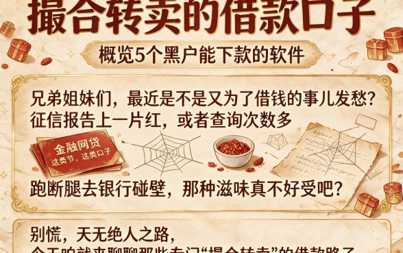 撮合转卖的借款口子，概览5个黑户能下款的软件