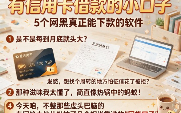 有信用卡借款的小口子,详细阐述5个网黑真正能下款的软件