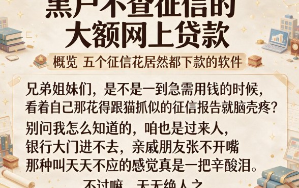 黑户不查征信的大额网上贷款,概览五个征信花居然都下款的软件