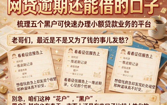 网贷逾期还能借的口子，梳理五个黑户可快速办理小额贷款业务的平台