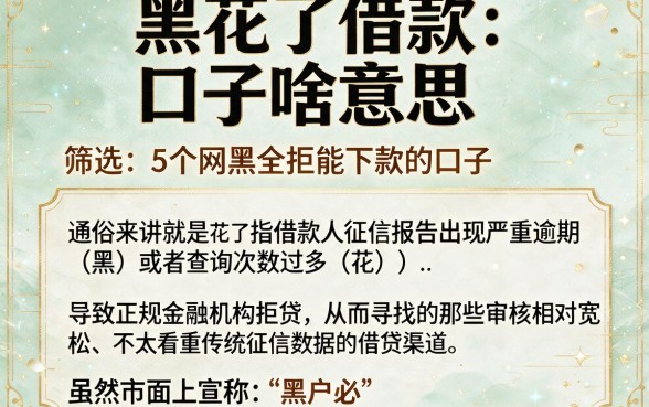 黑花了借款口子啥意思,筛选5个网黑全拒能下款的口子