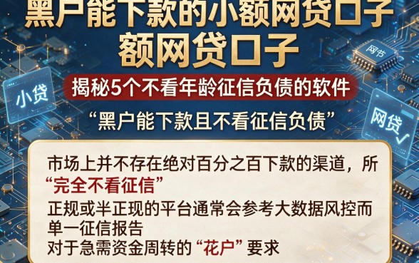 黑户能下款的小额网贷口子,揭秘5个不看年龄征信负债的软件