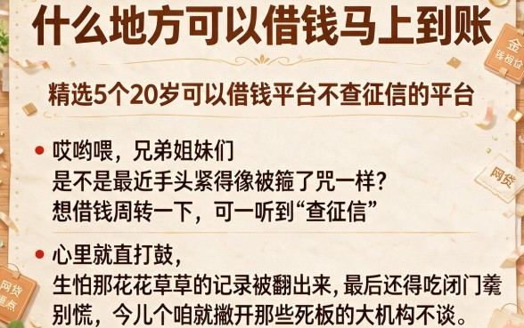 什么地方可以借钱马上到账，精选5个20岁可以借钱平台不查征信的平台