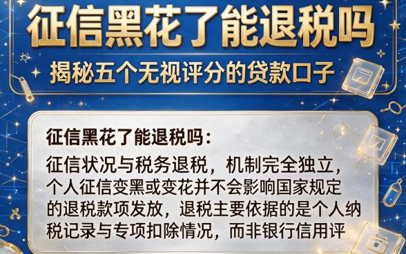 征信黑花了能退税吗，揭秘五个无视评分的贷款口子