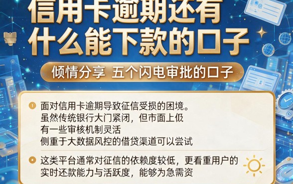 信用卡逾期还有什么能下款的口子,倾情分享五个闪电审批的口子