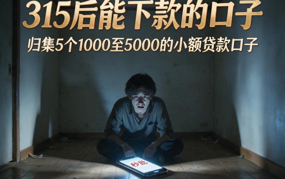315后能下款的口子,归集5个1000至5000的小额贷款口子