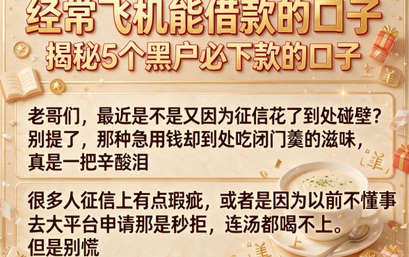 经常飞机能借款的口子,揭秘5个黑户必下款的口子