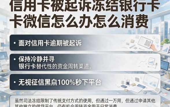 信用卡被起诉冻结银行卡微信怎么办怎么消费,归纳五个无视征信黑白100%秒下平台