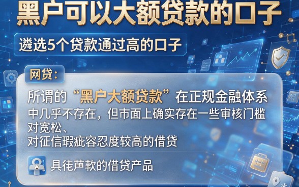 黑户可以大额贷款的口子，遴选5个贷款通过高的口子