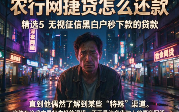农行网捷贷怎么还款，精选5个无视征信黑白户秒下款的贷款