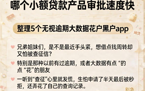 哪个小额贷款产品审批速度快，整理5个无视逾期大数据花户黑户app