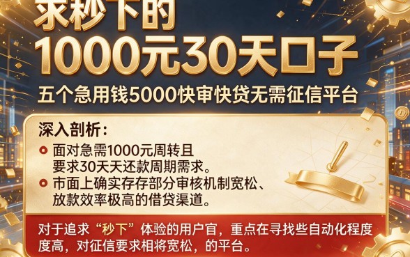 求秒下的1000元30天口子，深入剖析五个急用钱5000快审快贷无需征信平台