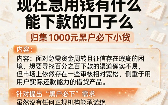 现在急用钱有什么能下款的口子么,归集五个1000元黑户必下小贷