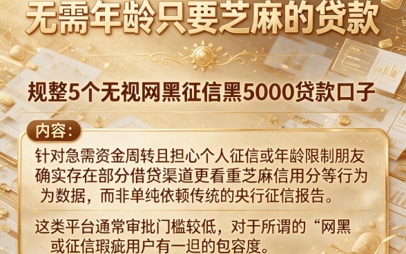 无需年龄只要芝麻的贷款,规整5个无视网黑征信黑5000贷款口子