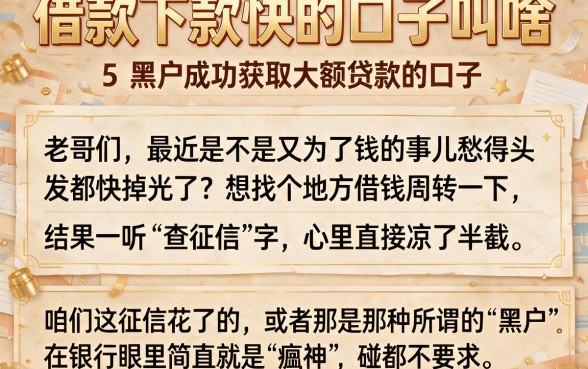 借款下款快的口子叫啥,罗列5个黑户成功获取大额贷款的口子