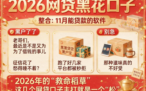 2026网贷黑花口子，整合5个11月能贷款的软件
