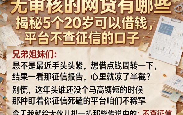 无审核的网贷有哪些,揭秘5个20岁可以借钱平台不查征信的口子
