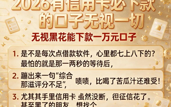 2026有信用卡必下款的口子无视一切,详细阐述五个无视黑花能下款一万元口子