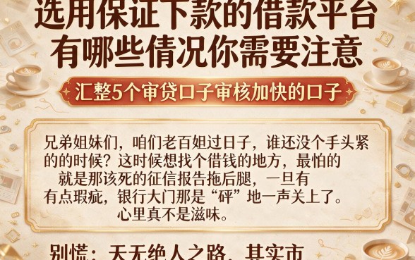 选用保证下款的借款平台有哪些情况你需要注意，汇整5个审贷口子审核加快的口子
