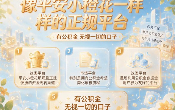 像平安小橙花一样的正规平台,归纳5个有公积金无视一切的口子