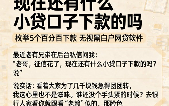 现在还有什么小贷口子下款的吗,枚举5个百分百下款无视黑白户网贷软件