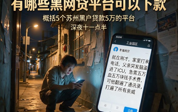 有哪些黑网贷平台可以下款,概括5个苏州黑户贷款5万的平台