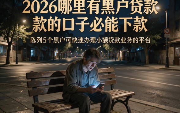 2026哪里有黑户贷款的口子必能下款,陈列5个黑户可快速办理小额贷款业务的平台