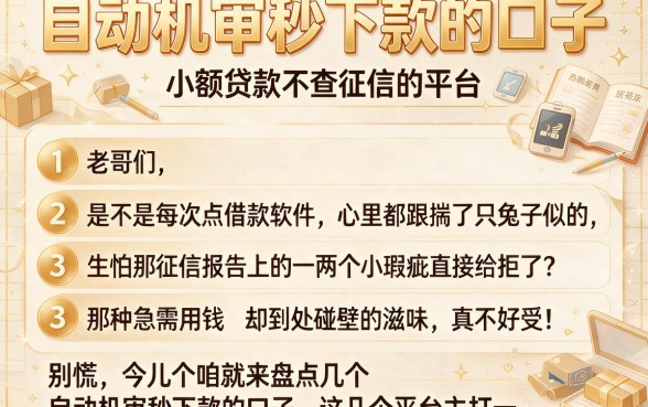 自动机审秒下款的口子,胪列五个小额贷款不查征信的平台