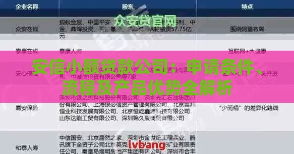 安信小额贷款公司：申请条件、流程及产品优势全解析
