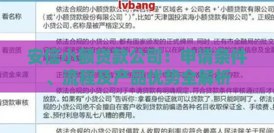 安信小额贷款公司：申请条件、流程及产品优势全解析