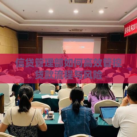 信贷管理部如何高效管控贷款流程与风险