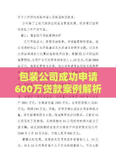 包装公司成功申请600万贷款案例解析及流程分享