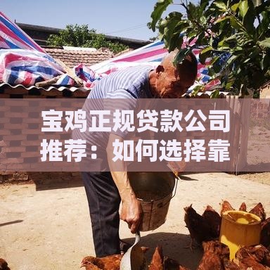 宝鸡正规贷款公司推荐：如何选择靠谱的借款渠道？