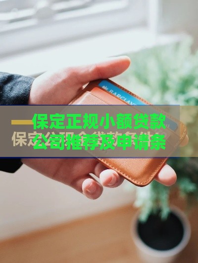 保定正规小额贷款公司推荐及申请条件解析