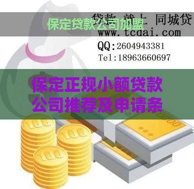 保定正规小额贷款公司推荐及申请条件解析