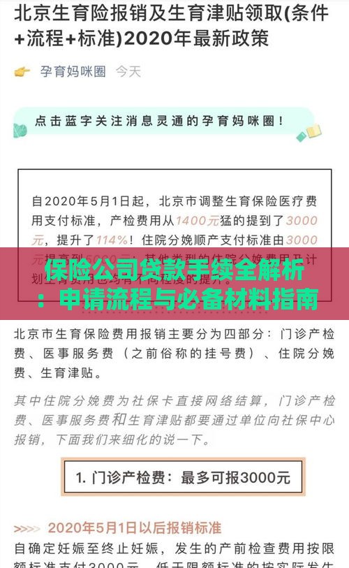 保险公司贷款手续全解析：申请流程与必备材料指南