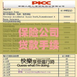 保险公司贷款手续全解析：申请流程与必备材料指南