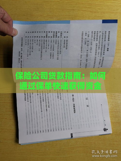 保险公司贷款指南：如何通过保单快速获得资金