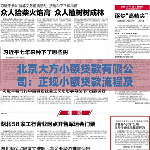北京大方小额贷款有限公司：正规小额贷款流程及优势解析