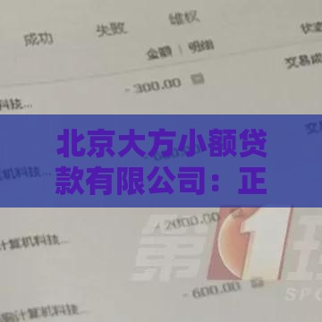 北京大方小额贷款有限公司：正规小额贷款流程及优势解析